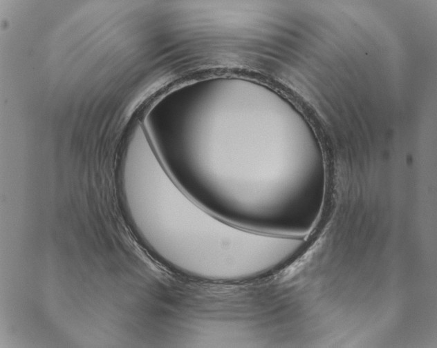 X0000089870826200706281032