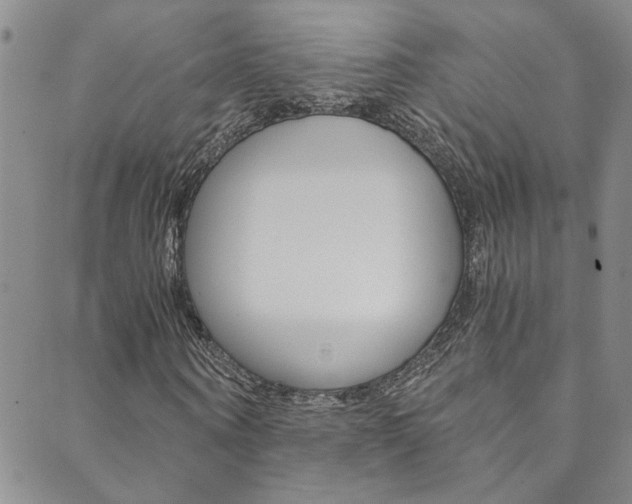 X0000089870866200706281032