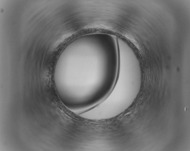 X0000089870872200706281032