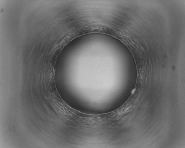 X0000089870916200706281030
