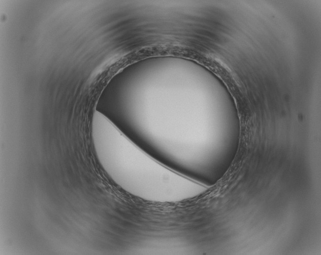 X0000089870919200706281031