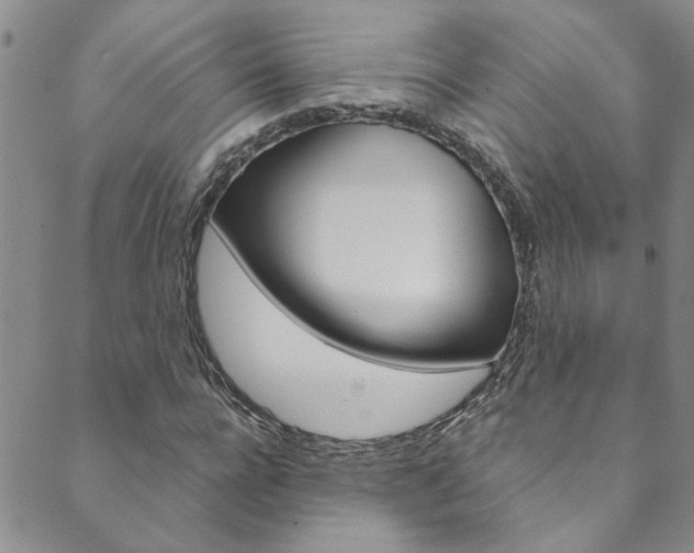X0000089870920200706281031