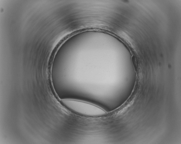 X0000089870924200706281031