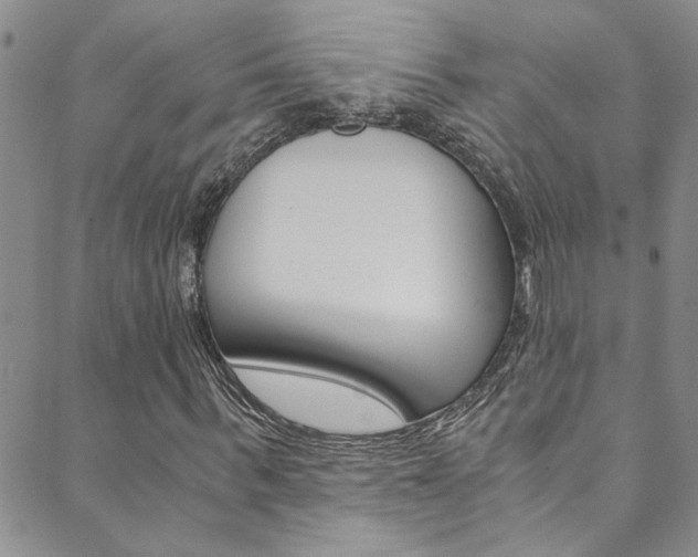 X0000089870963200706281030