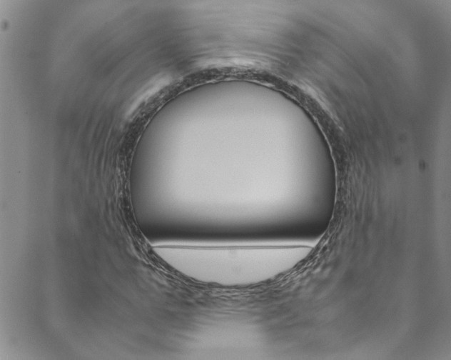 X0000089870967200706281030