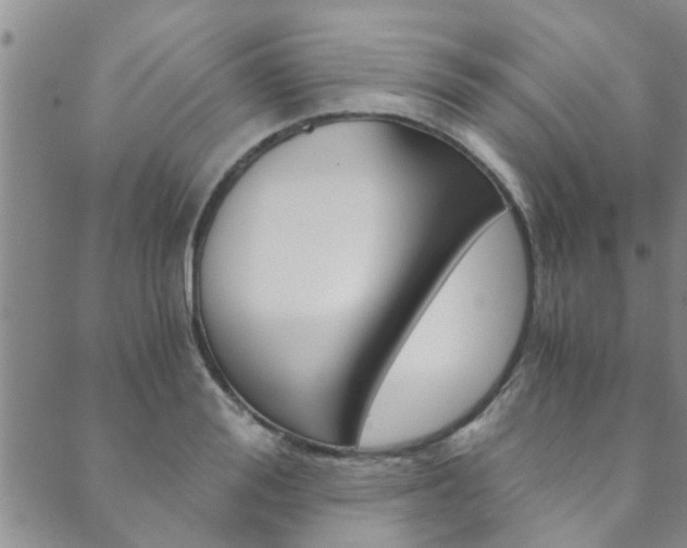 X0000089870988200706281030