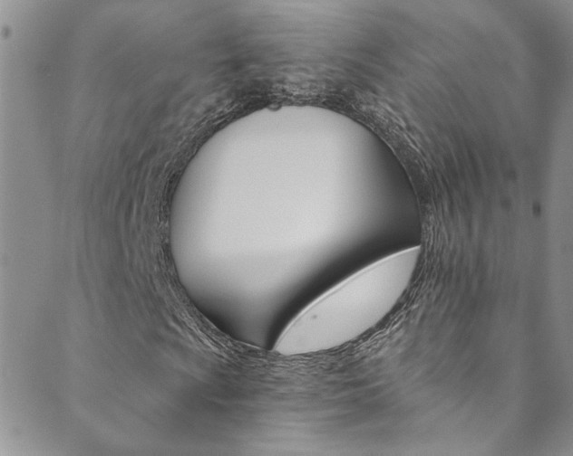 X0000089871009200706281029