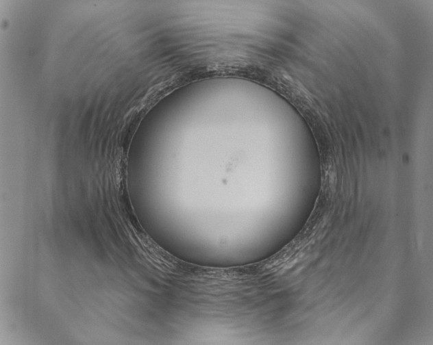 X0000089871012200706281029