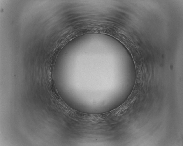 X0000089871013200706281029