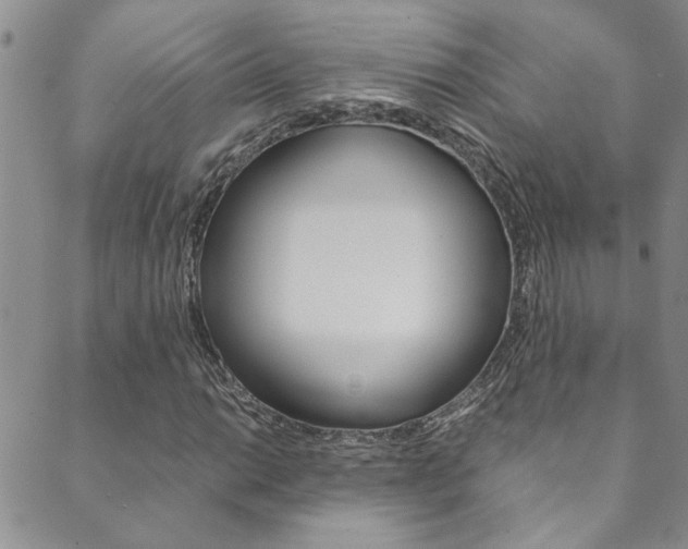 X0000089871014200706281029