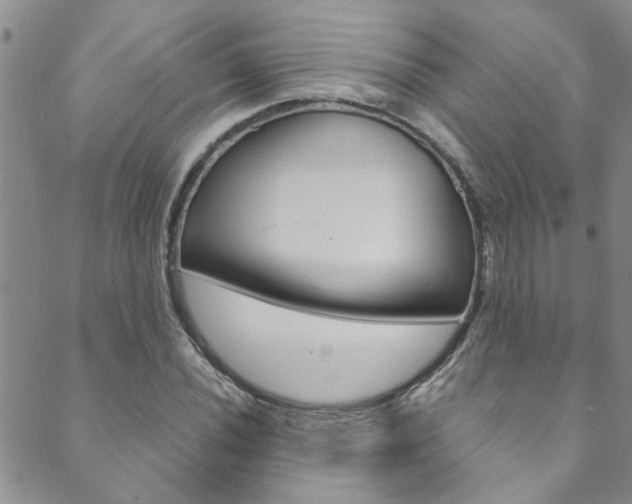 X0000089871020200706281029