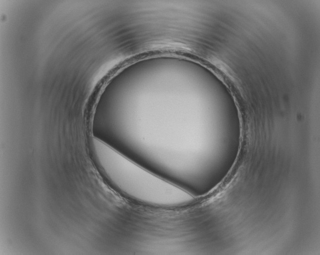 X0000089871022200706281029