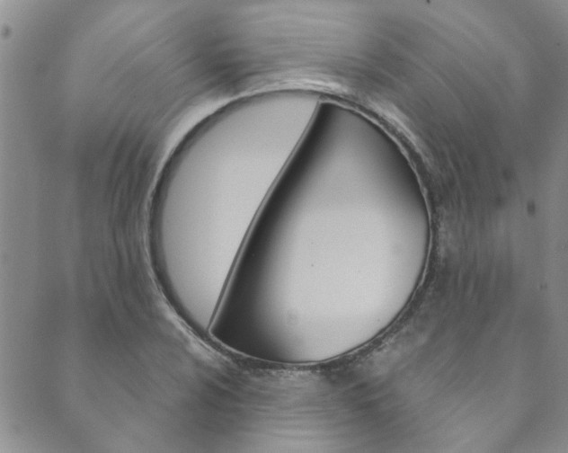 X0000089871024200706281029