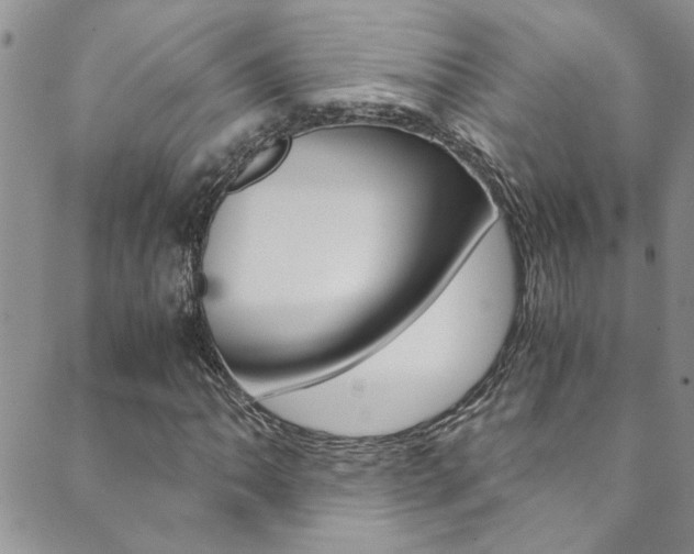X0000089871062200706281029