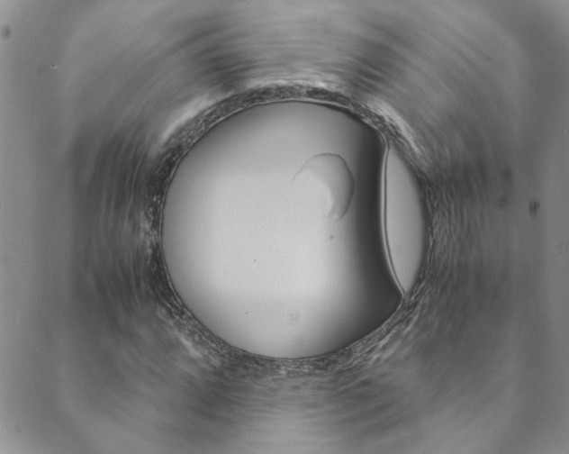 X0000089871064200706281029