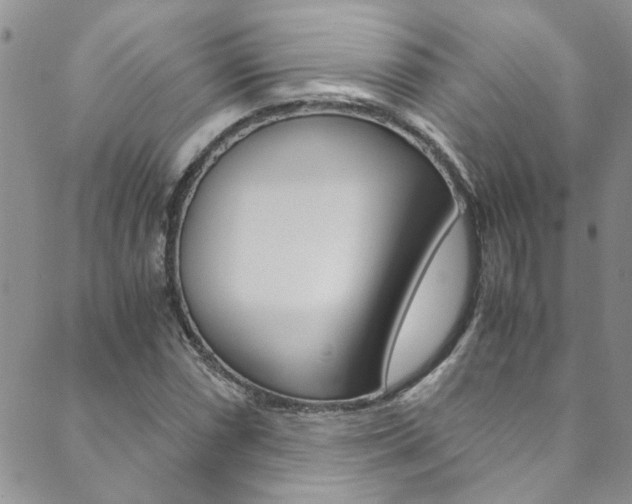 X0000089871066200706281029
