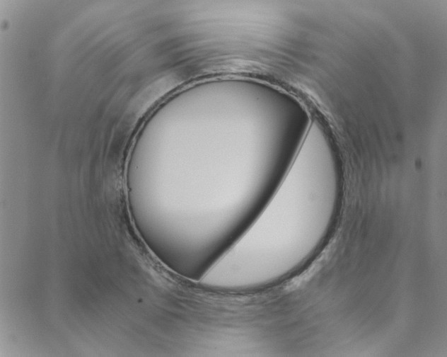 X0000089871073200706281029