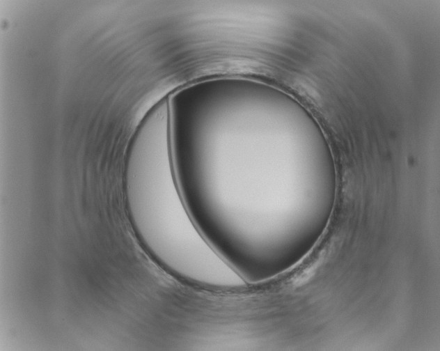 X0000089871081200706281028