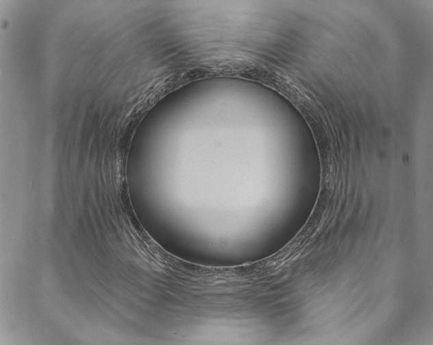 X0000089871108200706281027