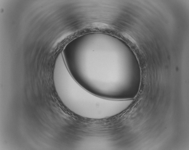 X0000089871112200706281027