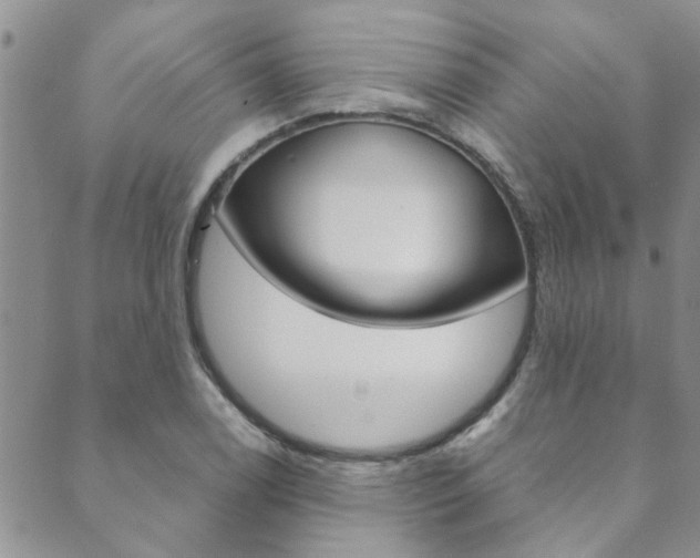 X0000089871122200706281028