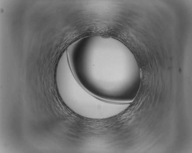 X0000089871153200706281027