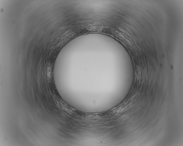 X0000089871154200706281027