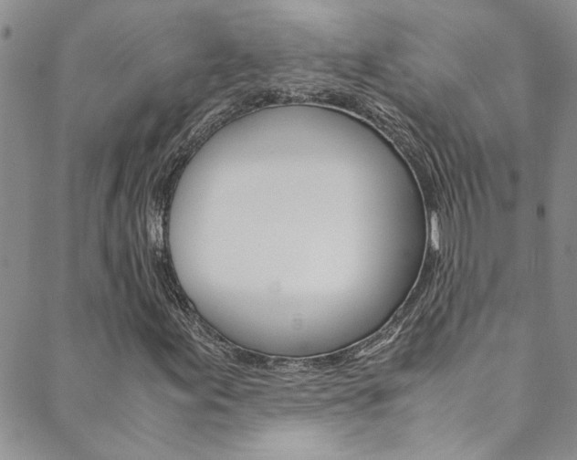 X0000089871155200706281027