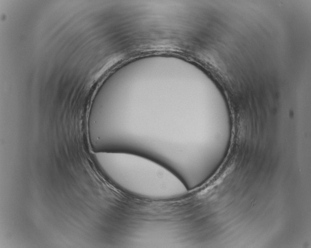 X0000089871162200706281027