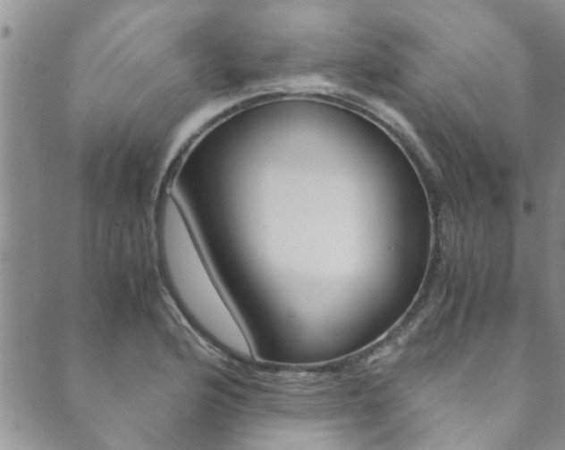 X0000089871176200706281027