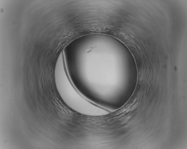 X0000089871202200706281026
