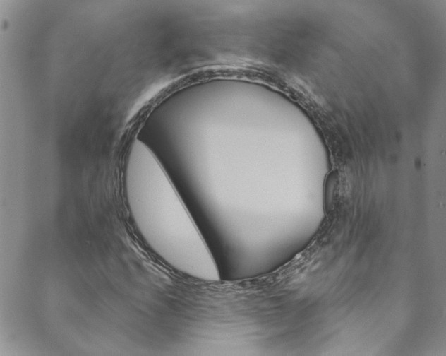 X0000089871208200706281026