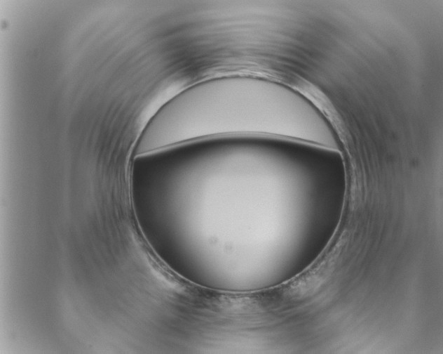 X0000089871242200706281026