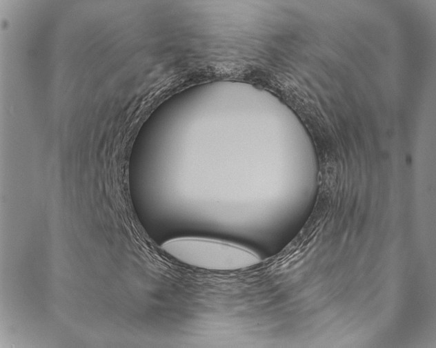 X0000089871249200706281026