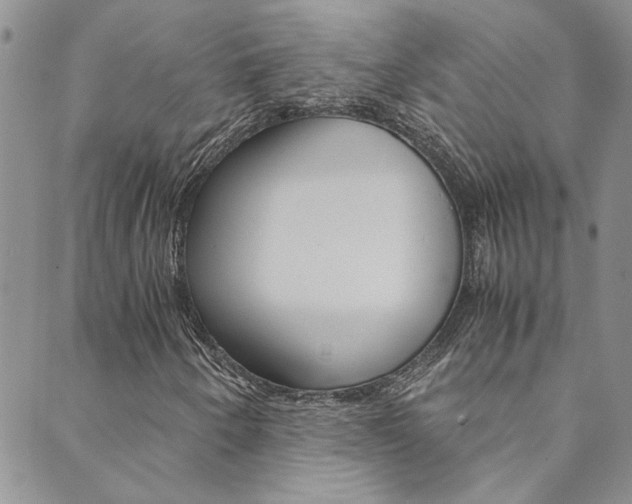 X0000089871250200706281026