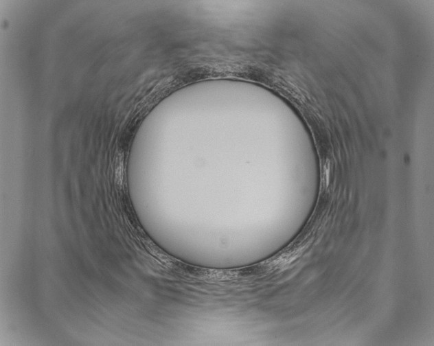 X0000089871251200706281026