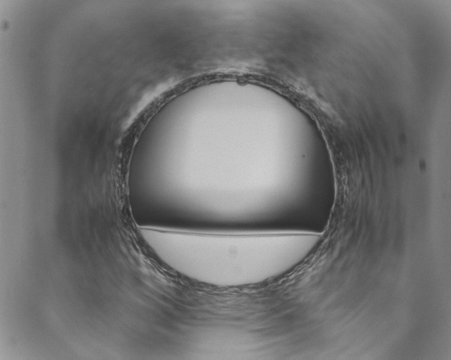 X0000089871256200706281026