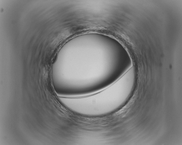 X0000089871257200706281026