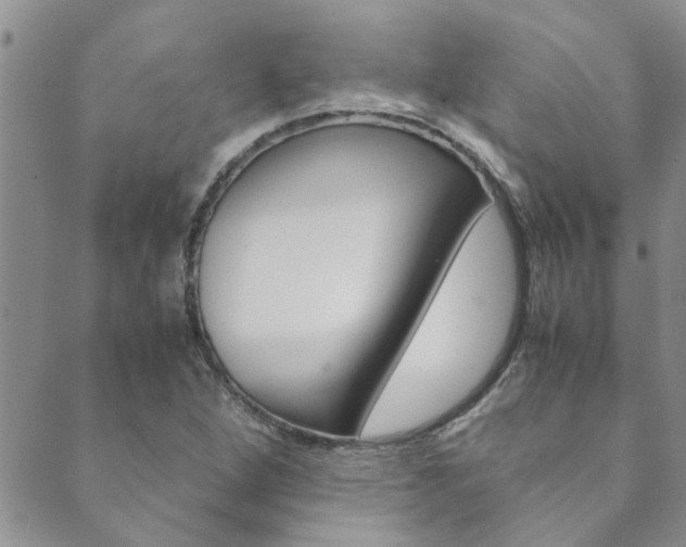 X0000089871264200706281025