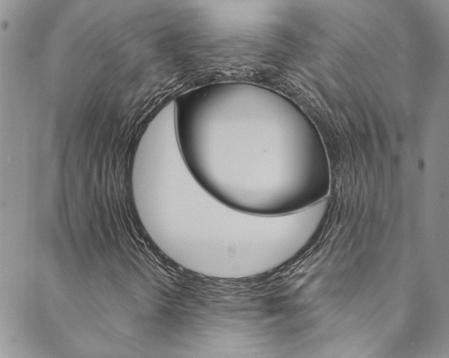 X0000089871298200706281024