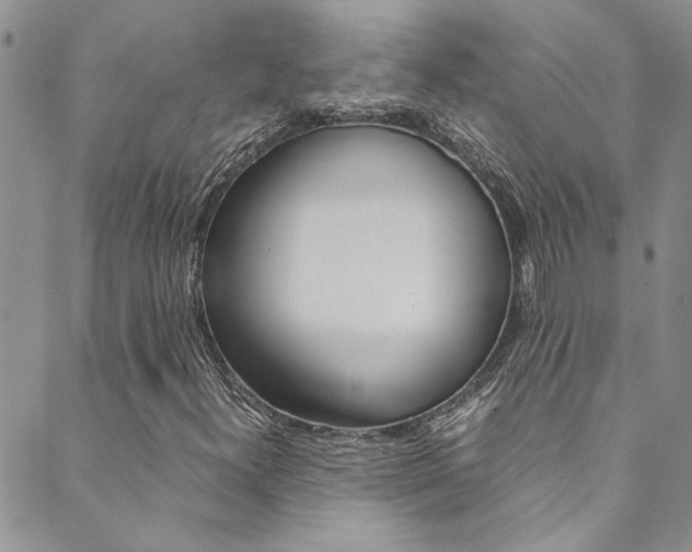 X0000089871300200706281024