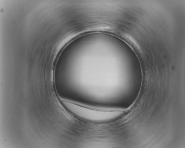 X0000089871324200706281025