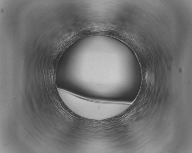 X0000089871348200706281024
