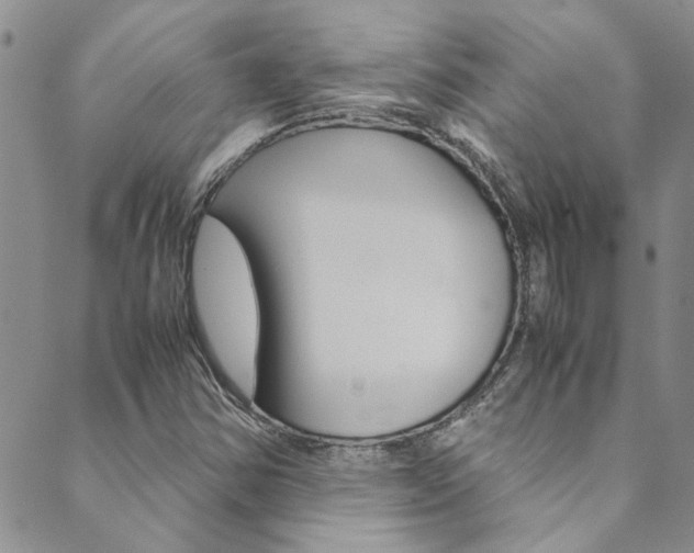 X0000089871354200706281024