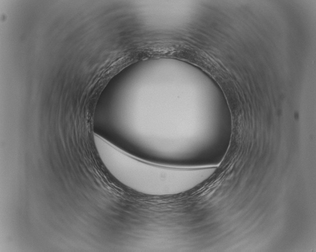 X0000089871394200706281023