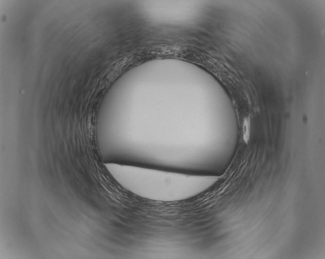 X0000089871395200706281023