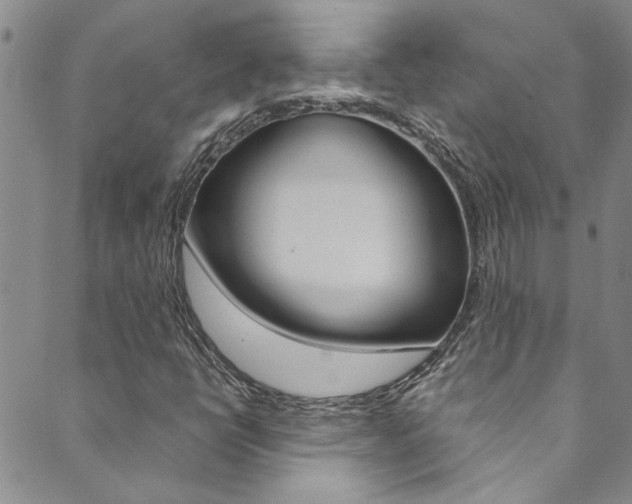 X0000089871398200706281023