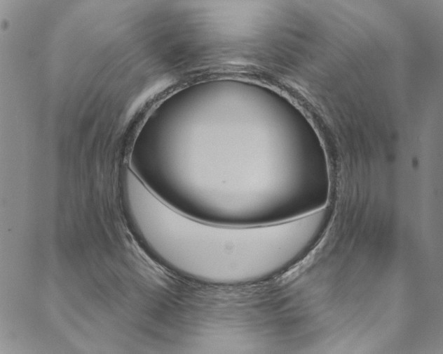 X0000089871402200706281023