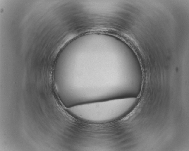 X0000089871409200706281023