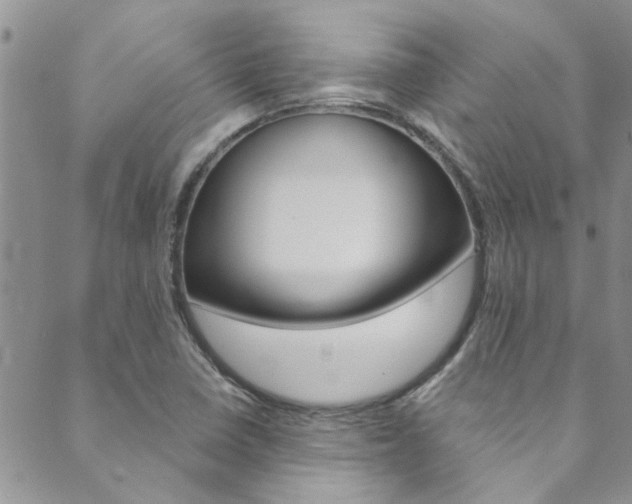 X0000089871410200706281023